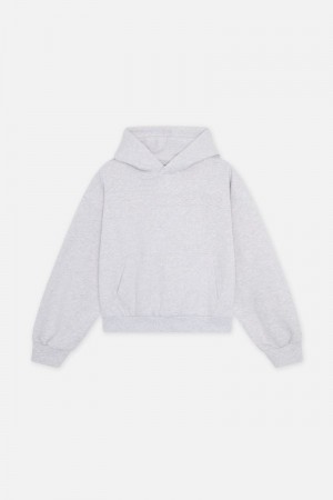 Scuffers Internet Hoodie Light Grey | US UY912951X8