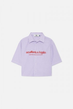 Scuffers Not LA Yet Striped Shirts Purple | US CN834443X4