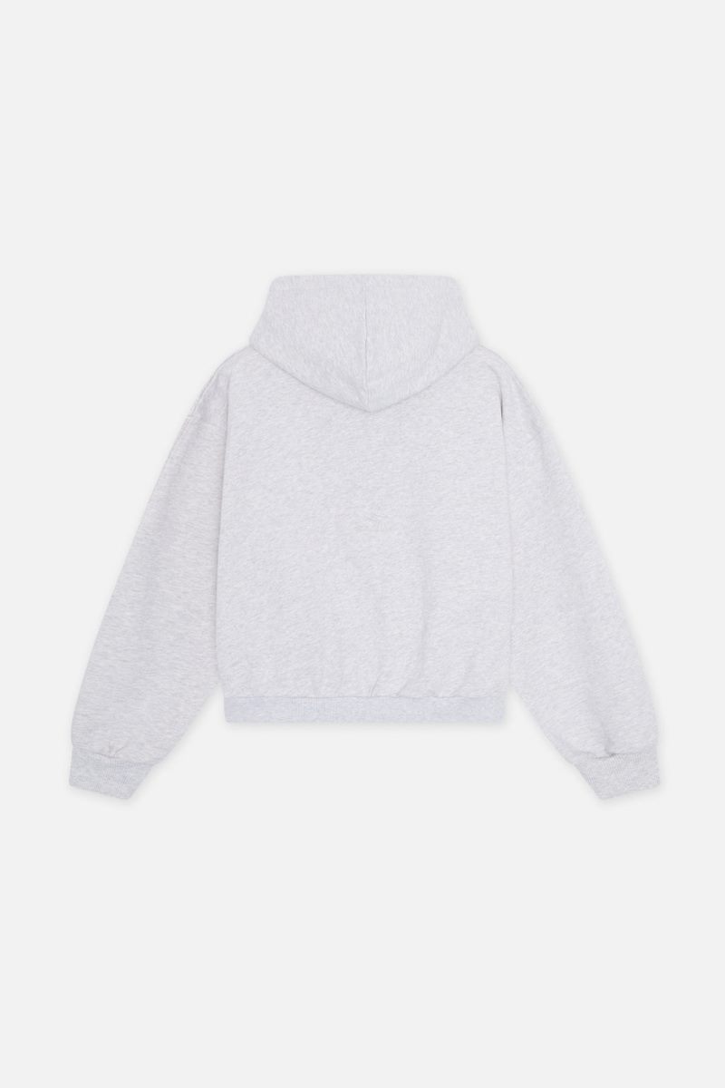 Scuffers Internet Hoodie Light Grey | US UY912951X8