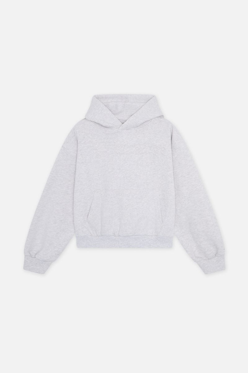 Scuffers Internet Hoodie Light Grey | US UY912951X8