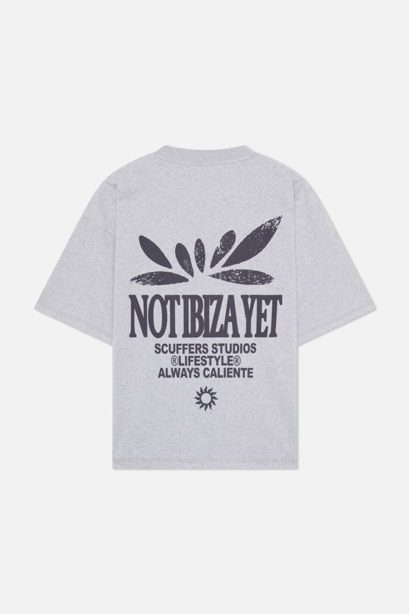 Scuffers Not Ibiza T-Shirt Light Grey | US QH602430V0